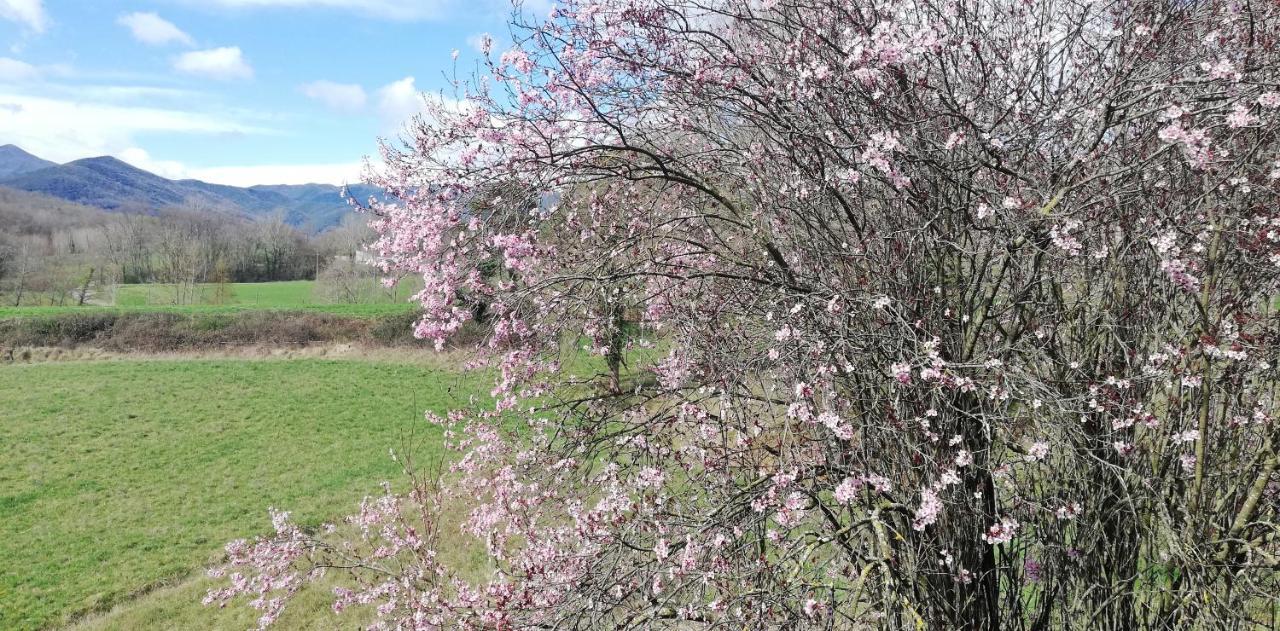Casa Can Boix La Vall de Bianya Zewnętrze zdjęcie