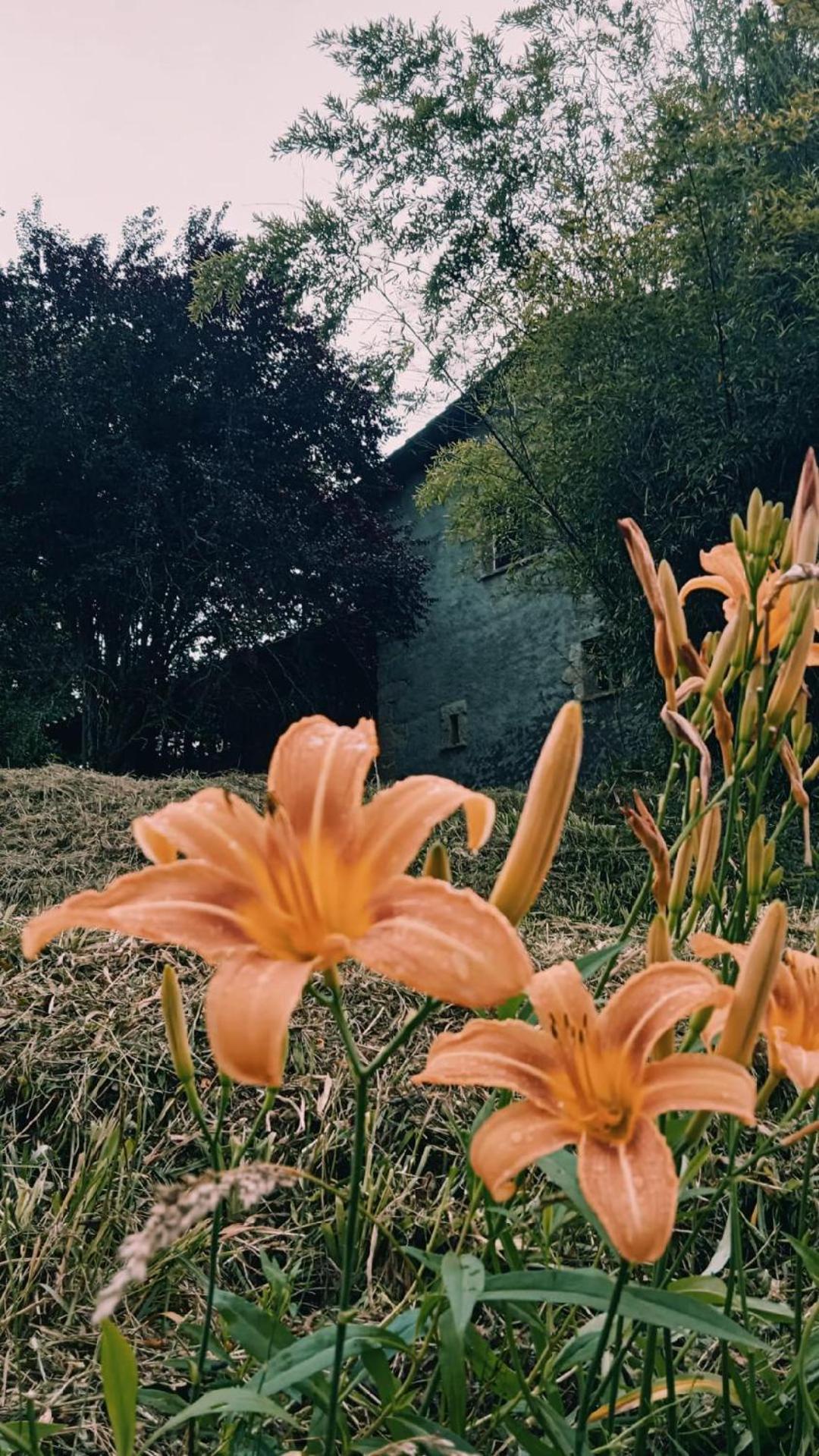 Casa Can Boix La Vall de Bianya Zewnętrze zdjęcie