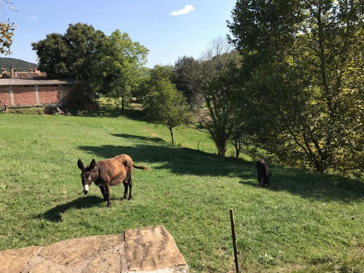 Casa Can Boix La Vall de Bianya Zewnętrze zdjęcie