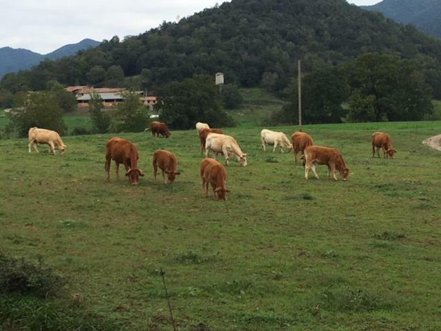 Casa Can Boix La Vall de Bianya Zewnętrze zdjęcie