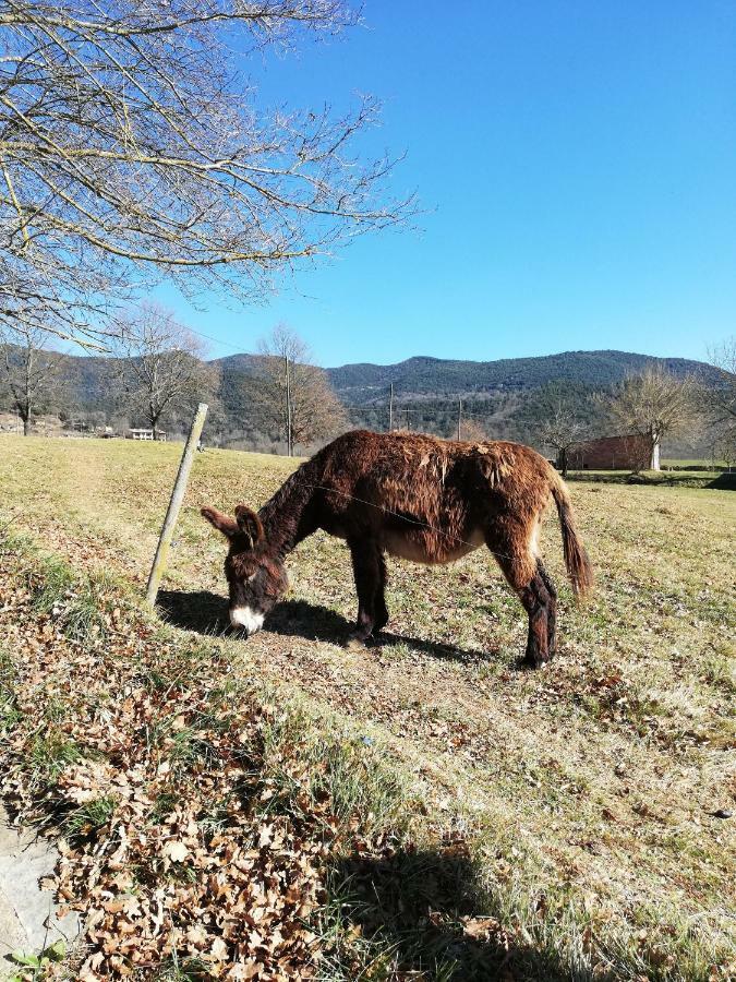 Casa Can Boix La Vall de Bianya Zewnętrze zdjęcie
