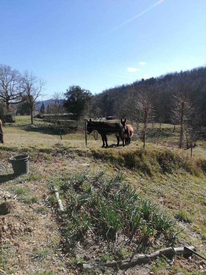 Casa Can Boix La Vall de Bianya Zewnętrze zdjęcie