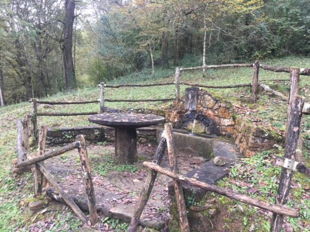 Casa Can Boix La Vall de Bianya Zewnętrze zdjęcie